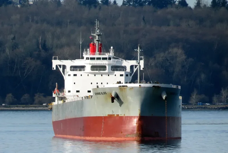 SHINING BLISS Bulk Carrier IMO 9518153 photo 9