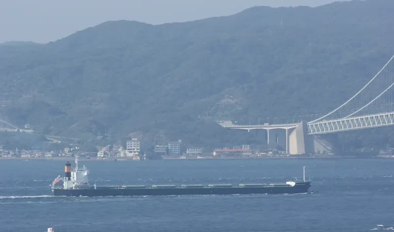 KM FUKUYAMA Bulk Carrier IMO 9518165 photo 4