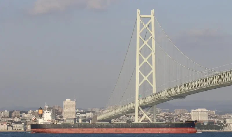 KM FUKUYAMA Bulk Carrier IMO 9518165 photo 6