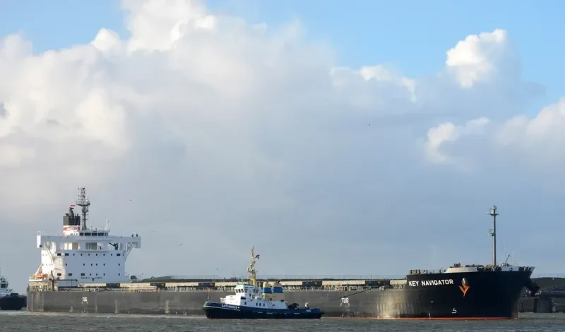 YM NAVIGATOR Bulk Carrier IMO 9518191 photo 5