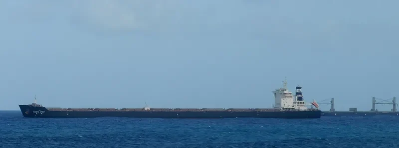 PACIFIC SPIRIT Bulk Carrier IMO 9518646