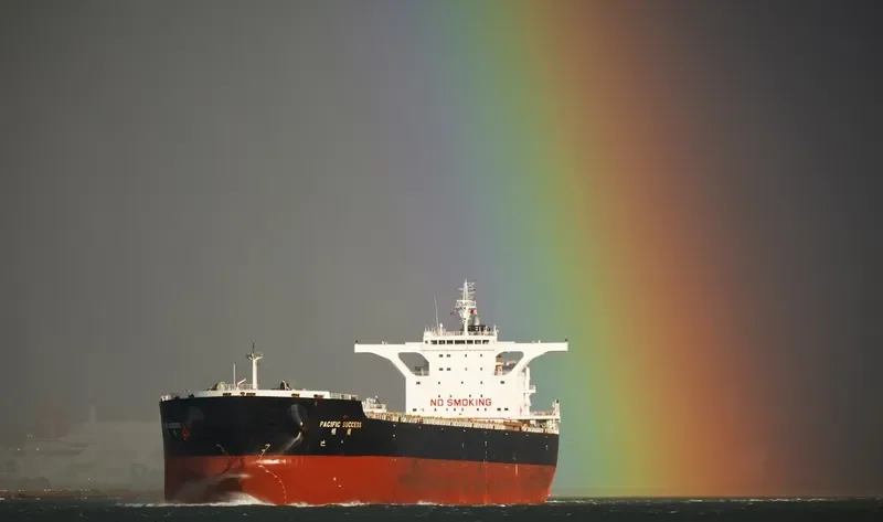 PACIFIC SUCCESS Bulk Carrier IMO 9518658