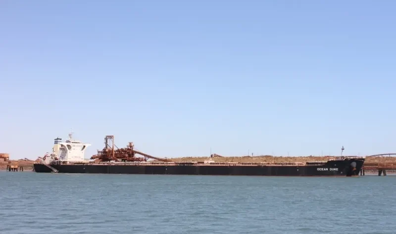 OCEAN DUKE Bulk Carrier IMO 9518660