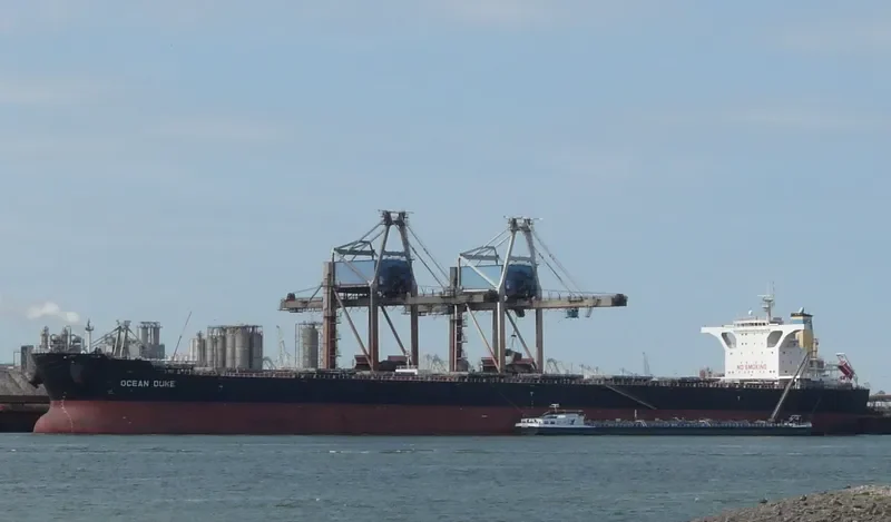 OCEAN DUKE Bulk Carrier IMO 9518660 photo 5
