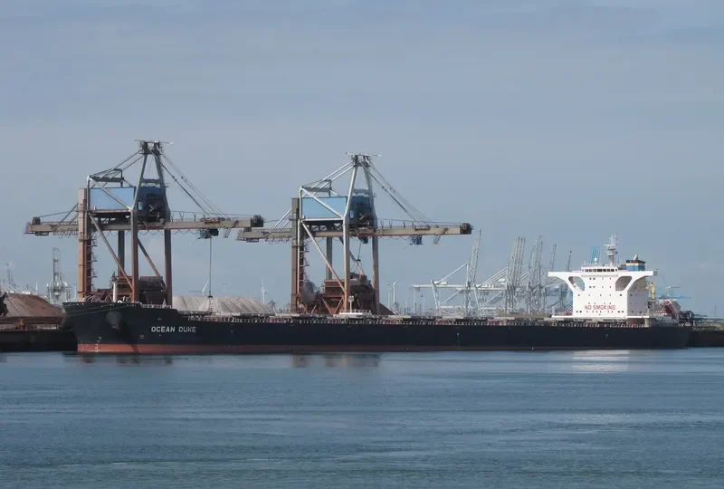OCEAN DUKE Bulk Carrier IMO 9518660 photo 6