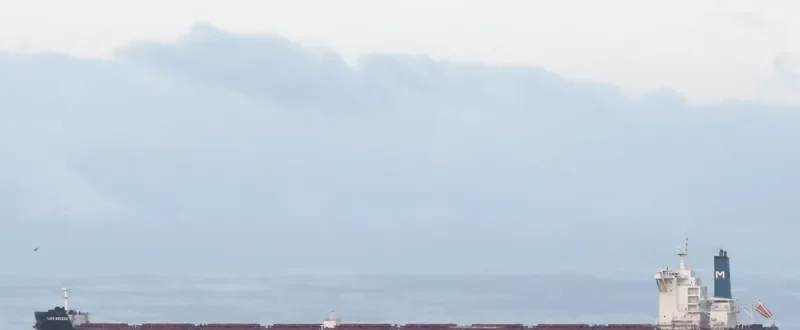 CAPE BREEZE Bulk Carrier IMO 9518919 photo 5