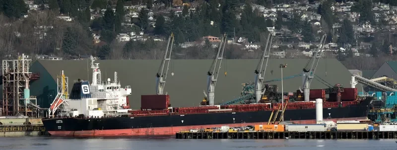XIN HAI TONG 18 Bulk Carrier IMO 9519004