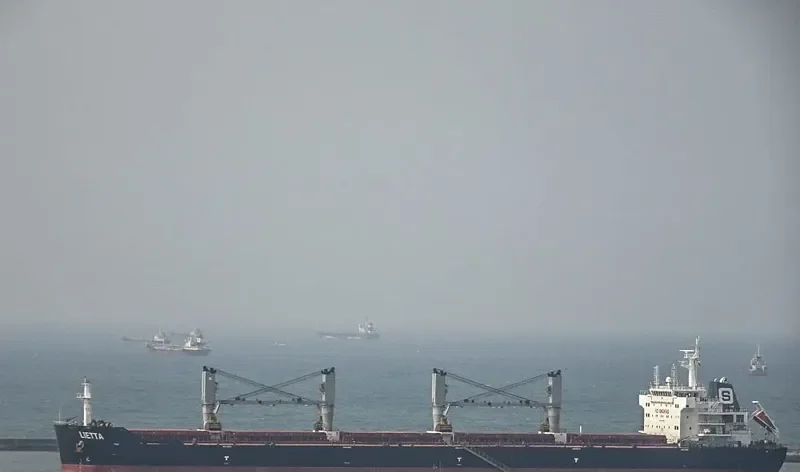 XIN HAI TONG 18 Bulk Carrier IMO 9519004 photo 7