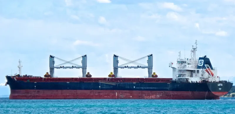 XIN HAI TONG 18 Bulk Carrier IMO 9519004 photo 8