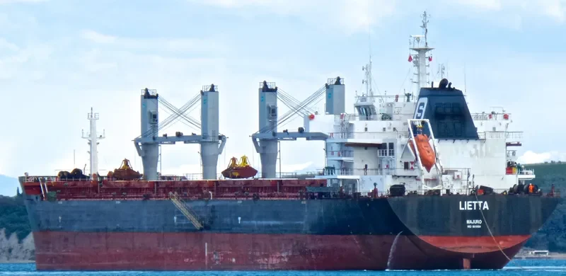 XIN HAI TONG 18 Bulk Carrier IMO 9519004 photo 9