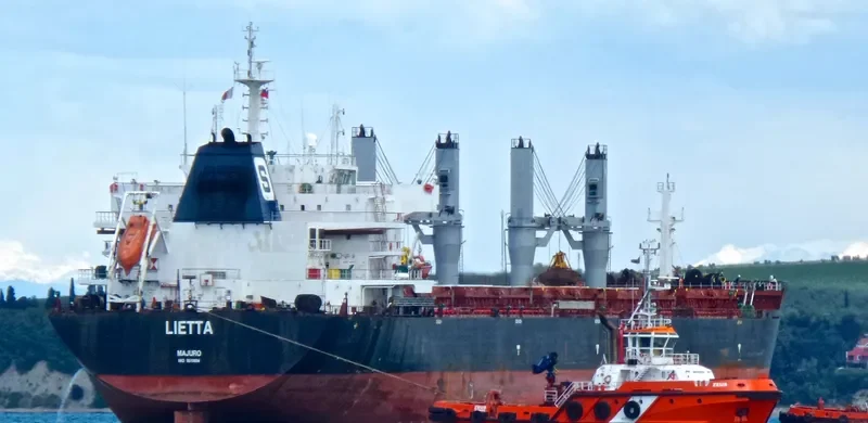 XIN HAI TONG 18 Bulk Carrier IMO 9519004 photo 10