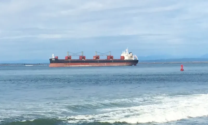 XIN HAI TONG 17 Bulk Carrier IMO 9519016 photo 3