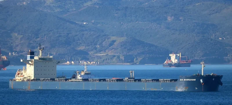 STAR MARIANNE Bulk Carrier IMO 9519078 photo 6