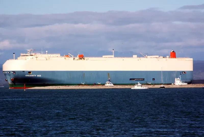 SINCERITY ACE General Cargo IMO 9519092 photo 10