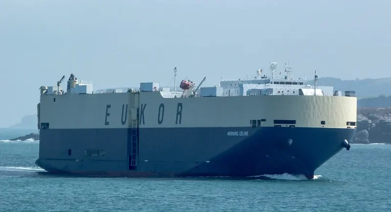 MORNING CELINE General Cargo IMO 9519133 photo 2