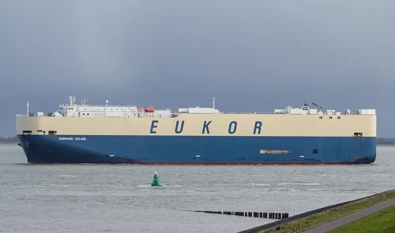 MORNING CELINE General Cargo IMO 9519133 photo 8