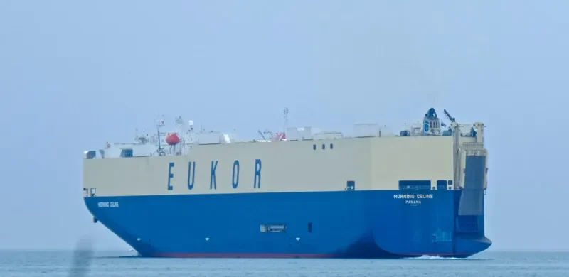 MORNING CELINE General Cargo IMO 9519133 photo 9