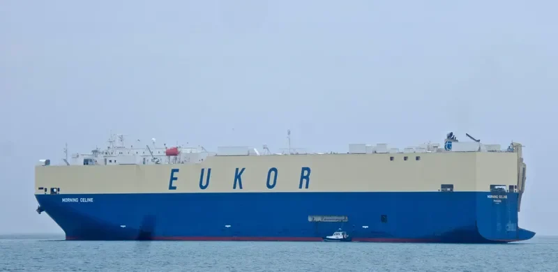 MORNING CELINE General Cargo IMO 9519133 photo 10