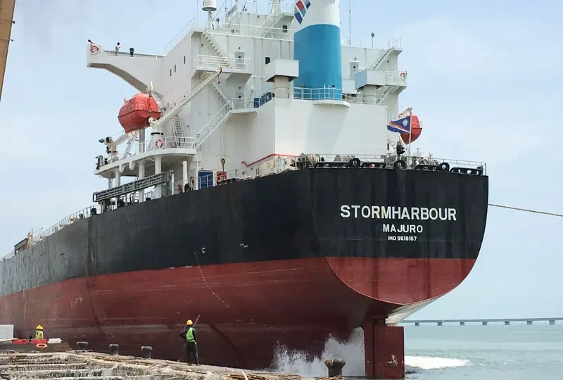 STORMHARBOUR Bulk Carrier IMO 9519157 photo 2