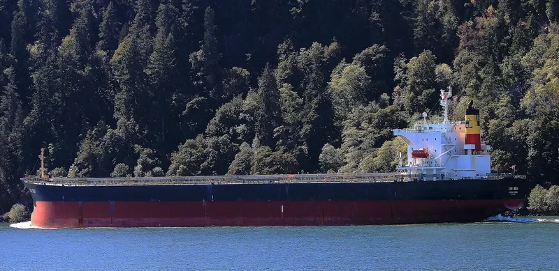 STORMHARBOUR Bulk Carrier IMO 9519157 photo 7