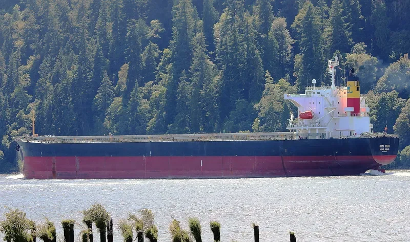 STORMHARBOUR Bulk Carrier IMO 9519157 photo 9