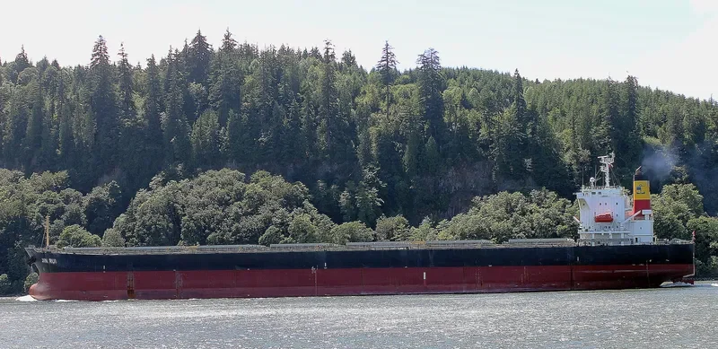 STORMHARBOUR Bulk Carrier IMO 9519157 photo 10