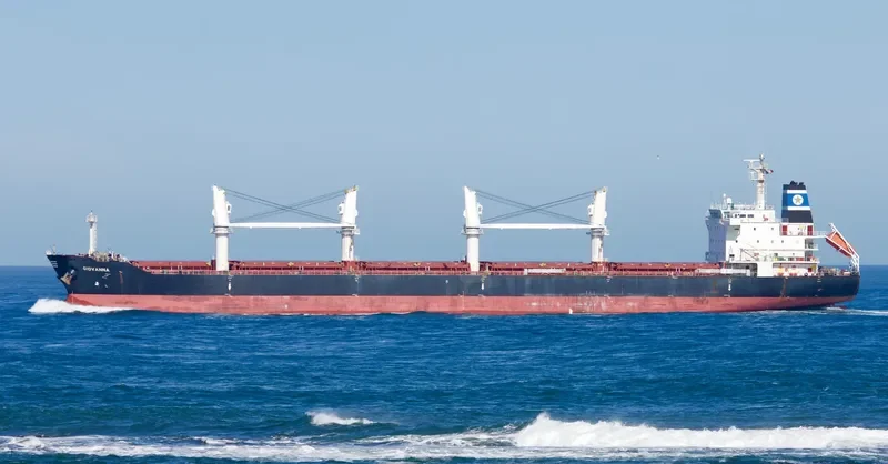 GIOVANNA Bulk Carrier IMO 9519171 photo 9