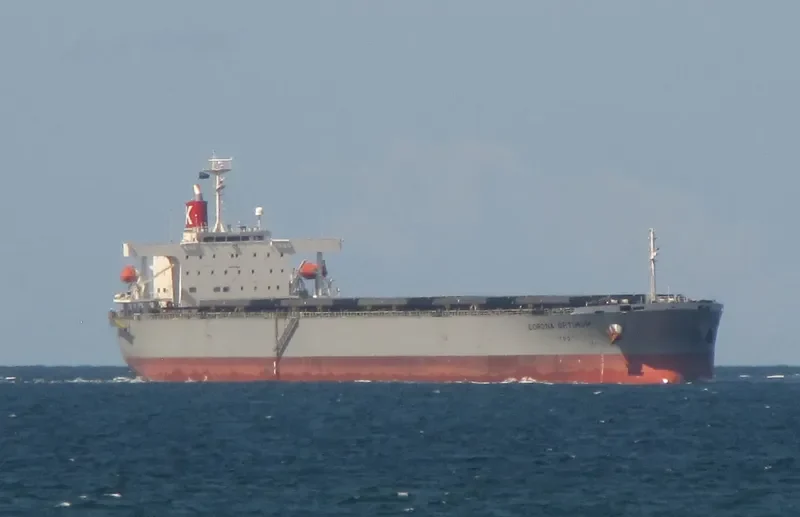 CORONA OPTIMUM Bulk Carrier IMO 9519183 photo 4