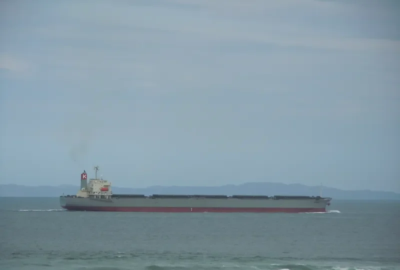 CORONA OPTIMUM Bulk Carrier IMO 9519183 photo 7