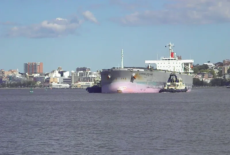 CORONA OPTIMUM Bulk Carrier IMO 9519183 photo 10