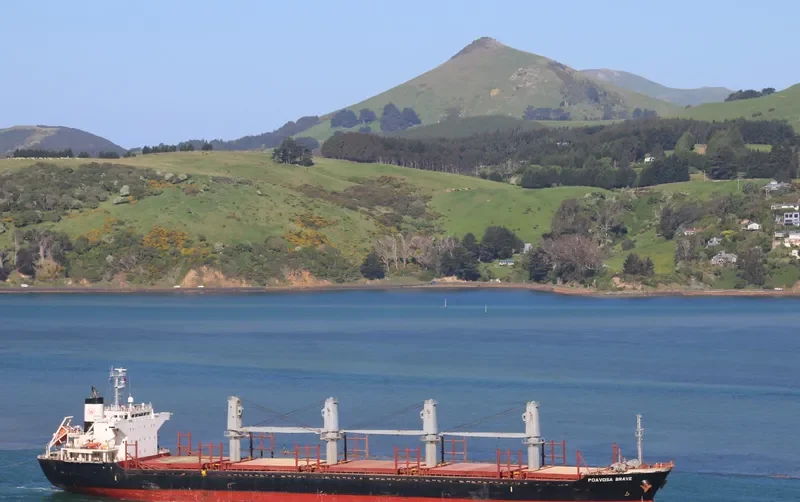 POAVOSA BRAVE Bulk Carrier IMO 9519195 photo 5
