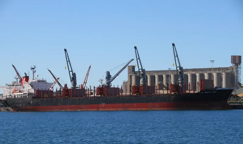 POAVOSA BRAVE Bulk Carrier IMO 9519195 photo 8