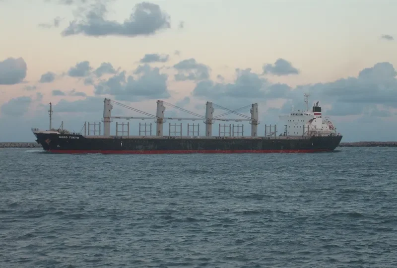 CS FELICITY Bulk Carrier IMO 9519200 photo 6