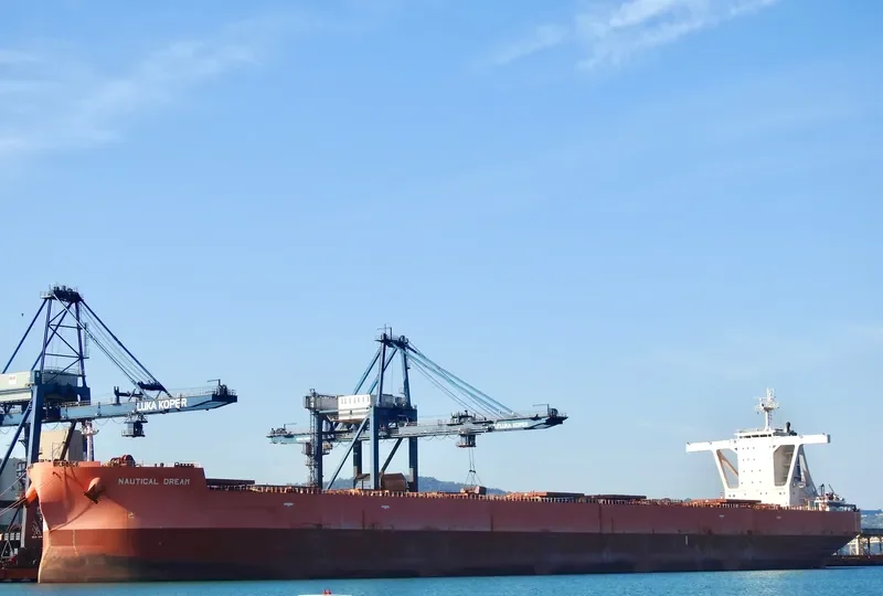NAUTICAL DREAM Bulk Carrier IMO 9519365