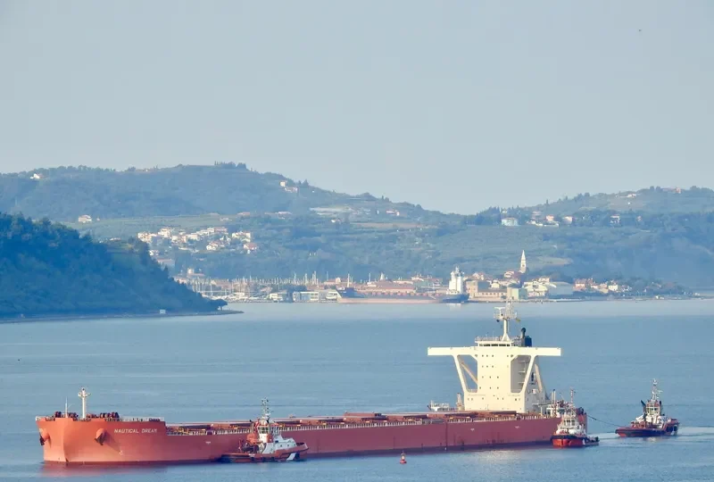 NAUTICAL DREAM Bulk Carrier IMO 9519365 photo 4