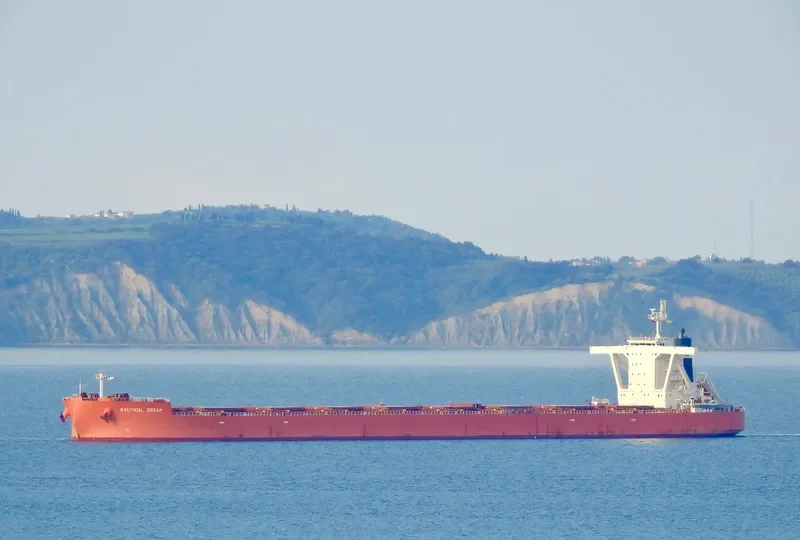 NAUTICAL DREAM Bulk Carrier IMO 9519365 photo 5