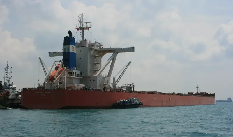 NAUTICAL DREAM Bulk Carrier IMO 9519365 photo 7