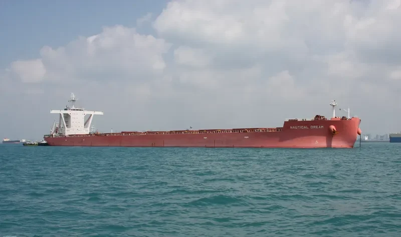 NAUTICAL DREAM Bulk Carrier IMO 9519365 photo 9