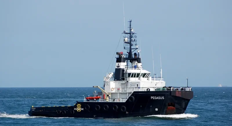 PEGASUS XX General Cargo IMO 9519420