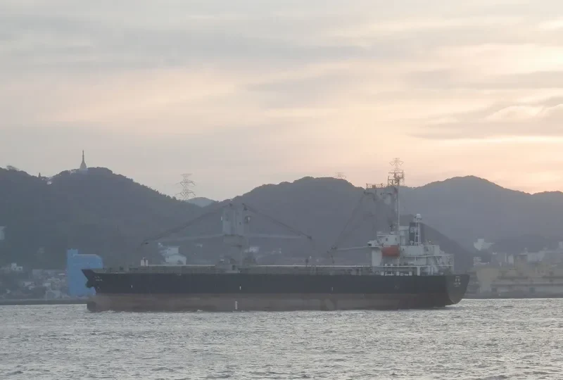 HUGE SW General Cargo IMO 9519511 photo 3