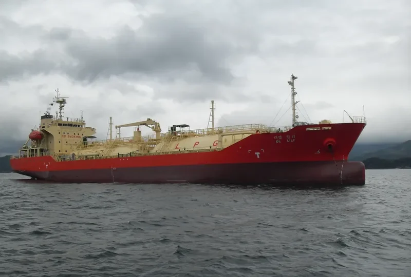 DL LILY General Cargo IMO 9519688 photo 3