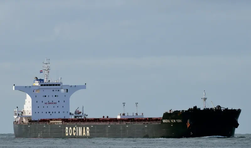MINERAL NEW YORK Bulk Carrier IMO 9519767 photo 5
