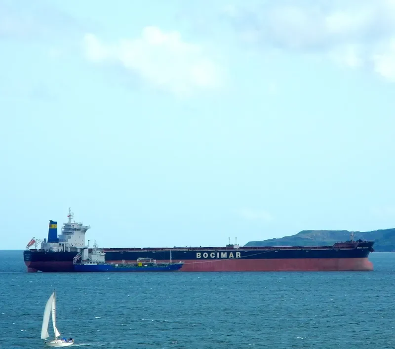 MINERAL NEW YORK Bulk Carrier IMO 9519767 photo 7