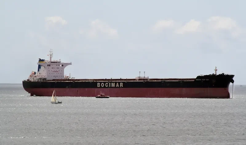 MINERAL NEW YORK Bulk Carrier IMO 9519767 photo 8
