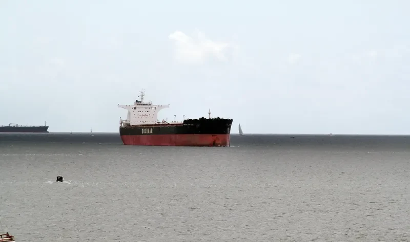 MINERAL NEW YORK Bulk Carrier IMO 9519767 photo 9