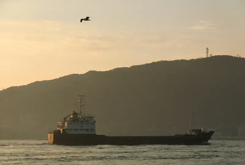 YUSHO MERMAID II General Cargo IMO 9520247 photo 9
