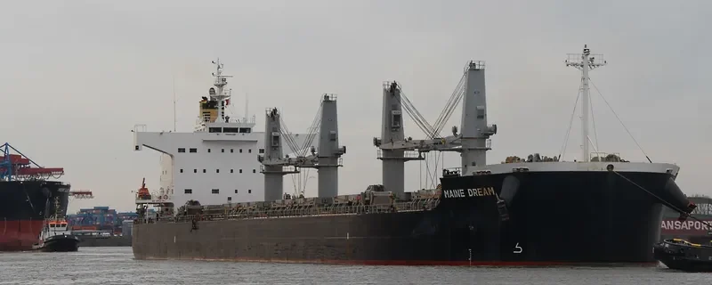 MAINE DREAM Bulk Carrier IMO 9520601 photo 2