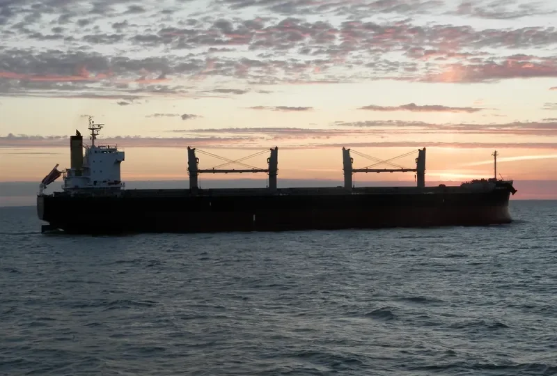MAINE DREAM Bulk Carrier IMO 9520601 photo 3