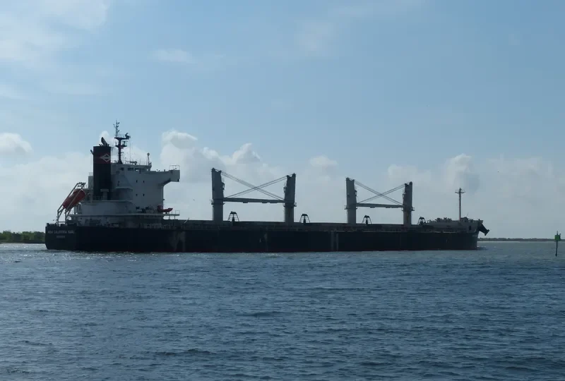 VALENTIA BLUE Bulk Carrier IMO 9520625 photo 6