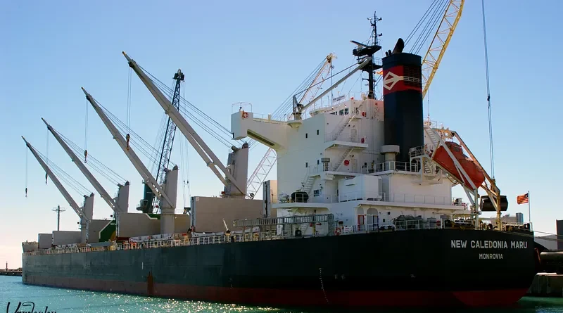 VALENTIA BLUE Bulk Carrier IMO 9520625 photo 9